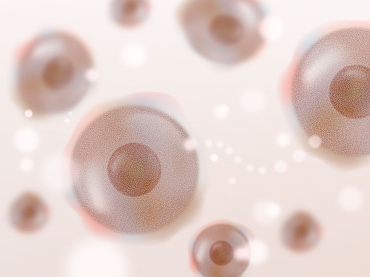 feat0<br />
<b>Warning</b>:  Undefined variable $i in <b>/home/xs171376/reunet.jp/public_html/trial10/wp/wp-content/themes/reutrial/parts/loop_features.php</b> on line <b>20</b><br />
<br />
<b>Warning</b>:  Undefined variable $count in <b>/home/xs171376/reunet.jp/public_html/trial10/wp/wp-content/themes/reutrial/parts/loop_features.php</b> on line <b>20</b><br />
2